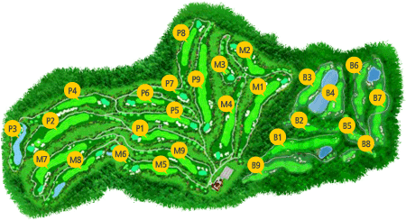 가평 Pine, Maple, Birch HOLE 맵