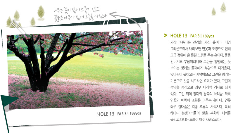 HOLE 13 PAR 3 | 189 yds-가장 아름다운 전경을 가진 홀이다. 티잉 그라운드에서 내려보면 연못과 조경으로 인해 고급 정원에 온 듯한 느낌을 주는 홀이다. 물을 건너기도 부담이려니와 그린을 침범하는 듯 보이는 벙커는 골퍼에게 부담으로 다가온다. 맞바람이 불어오는 지역이므로 그린을 넘기는 기분으로 샷을 시도하면 효과가 있다. 그린의 중앙을 중심으로 좌우 내리막 경사로 되어 있다. 그린 뒤의 장미와 철쭉의 화려함, 좌측 연꽃의 매력이 조화를 이루는 홀이다. 연못 좌우 갈대숲은 각종 조류의 서식지다. 특히 해마다 논병아리들이 알을 부화해 새끼를 올리고 다니는 모습이 아주 사랑스럽다.